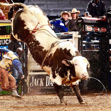 Pbr mississippi. Things To Know About Pbr mississippi. 